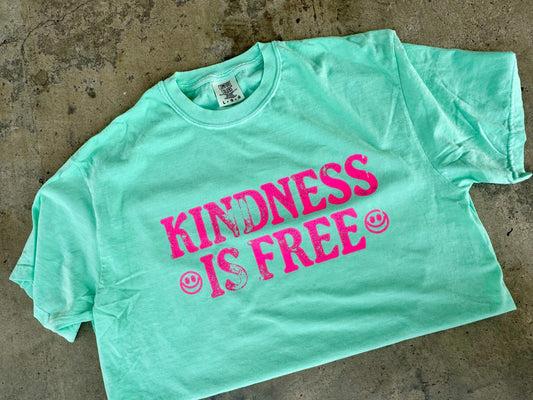 Kindness is Free t-shirt || Kindness || t-shirt